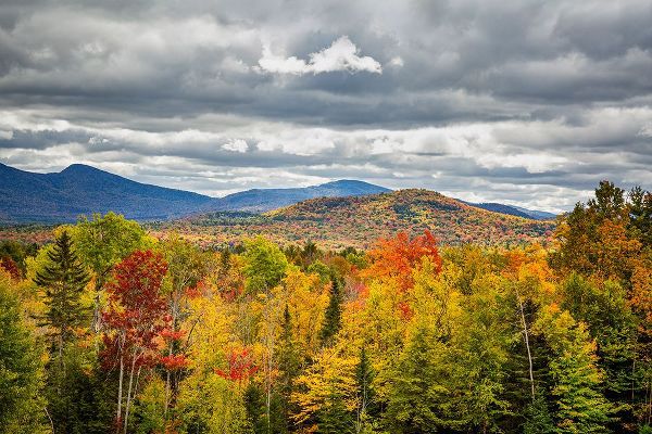 Collins, Ann 아티스트의 USA-New York-Adirondacks Indian Lake-Fall color at overlook along Route 28작품입니다.